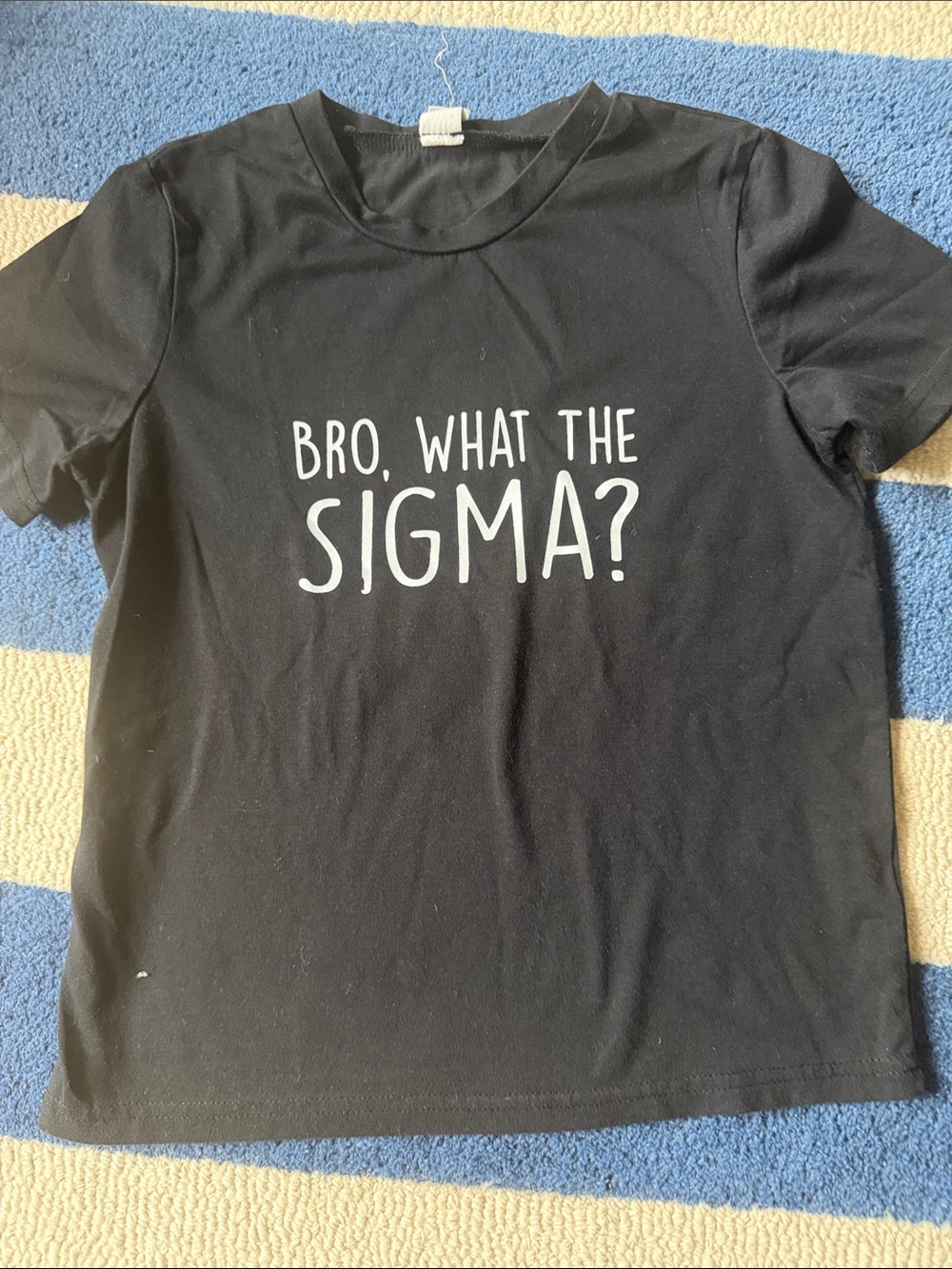 Bro what the sigma t-shirt